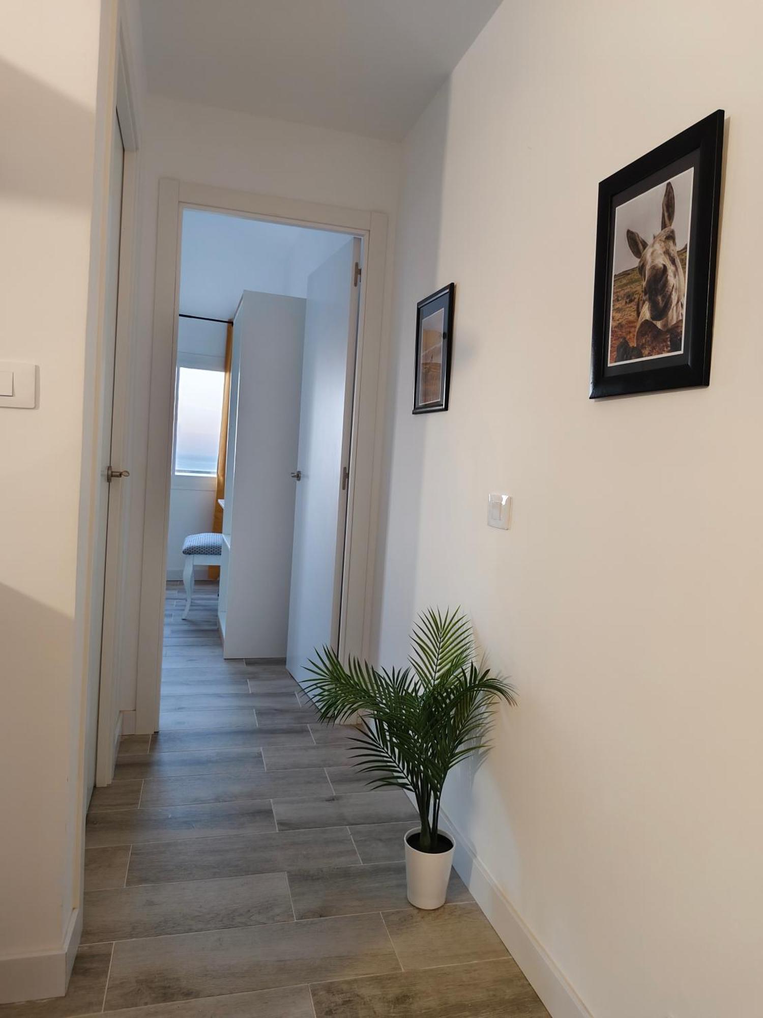 Hierro Daire Jerez de la Jerez de la Frontera Dış mekan fotoğraf